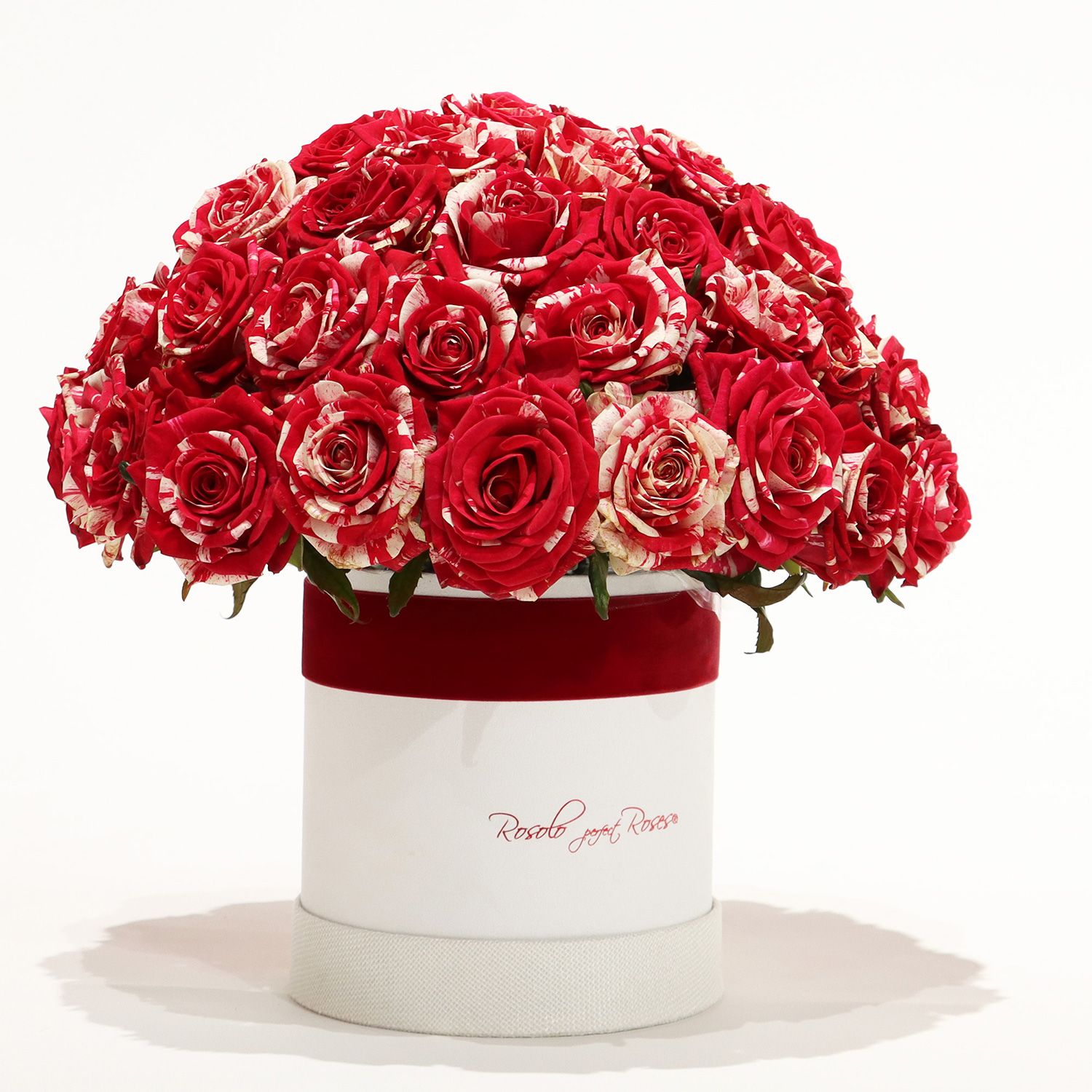 UNIQUE: Belle boite de roses "Harlequin"