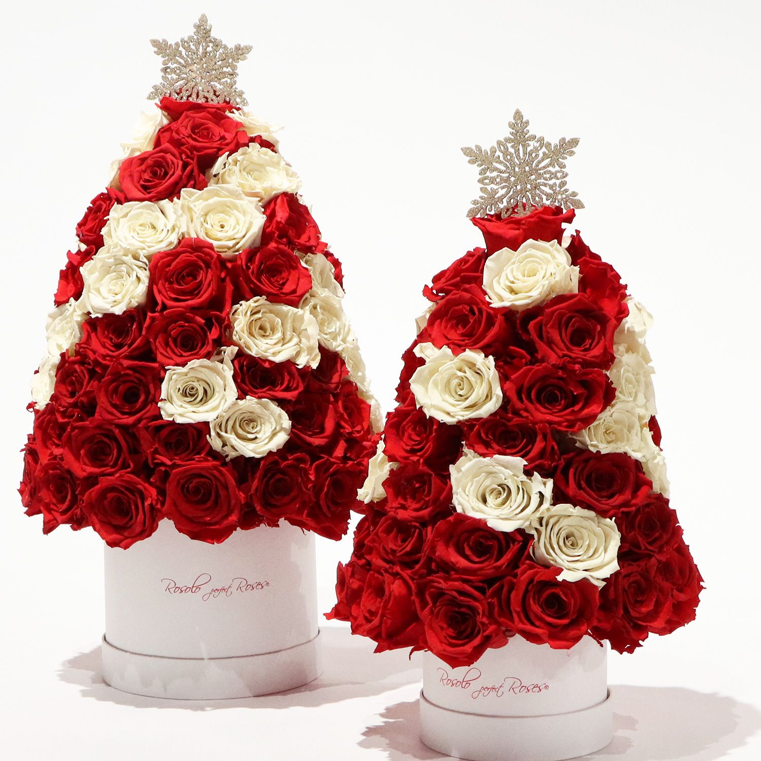 UNIQUE: Pyramide de roses éternelles en rouge et crème, Taille: moyen (env. 55 roses)