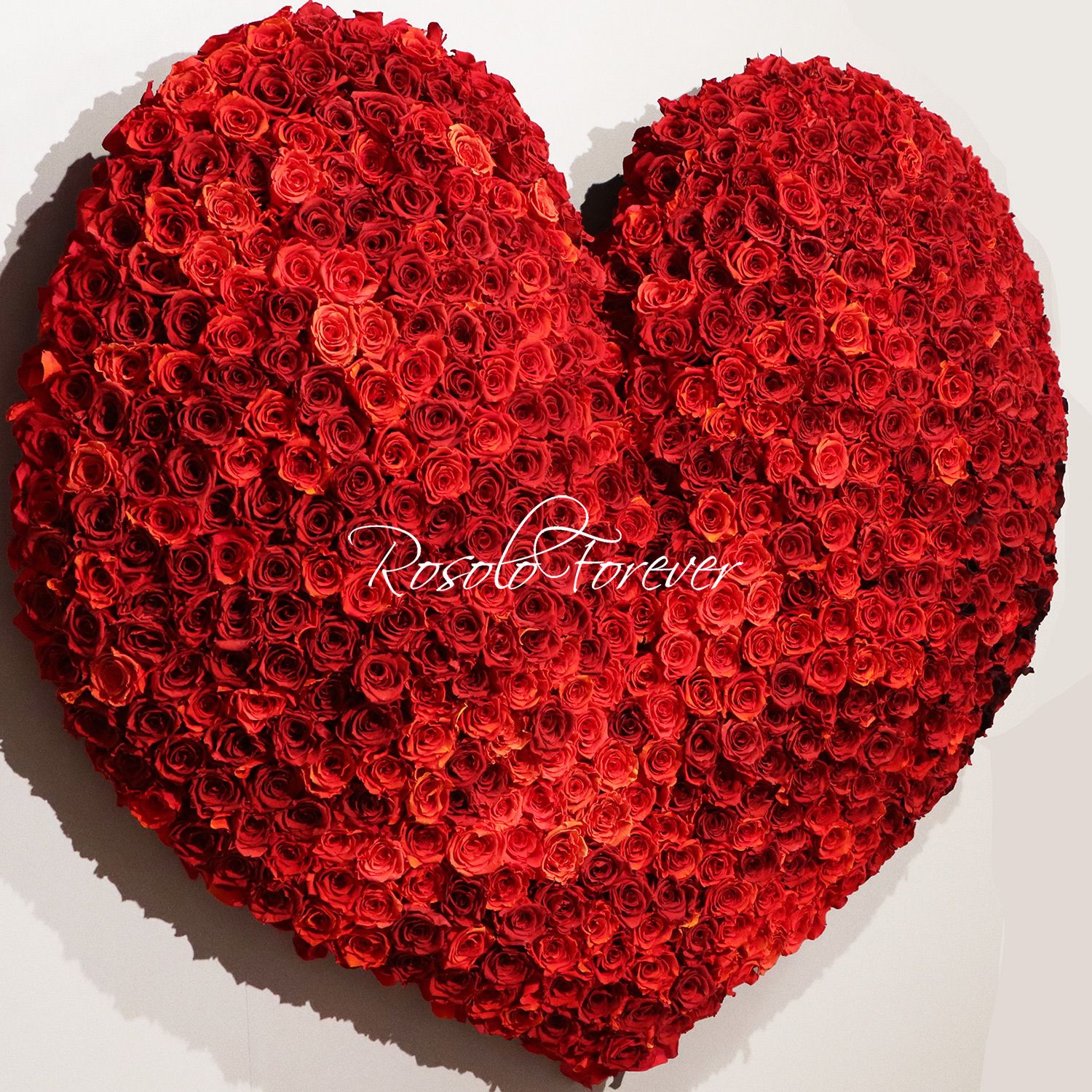 FOREVER: Coeur impressionnant en roses stabilisées. Tableau mural d'env. 130 cm.