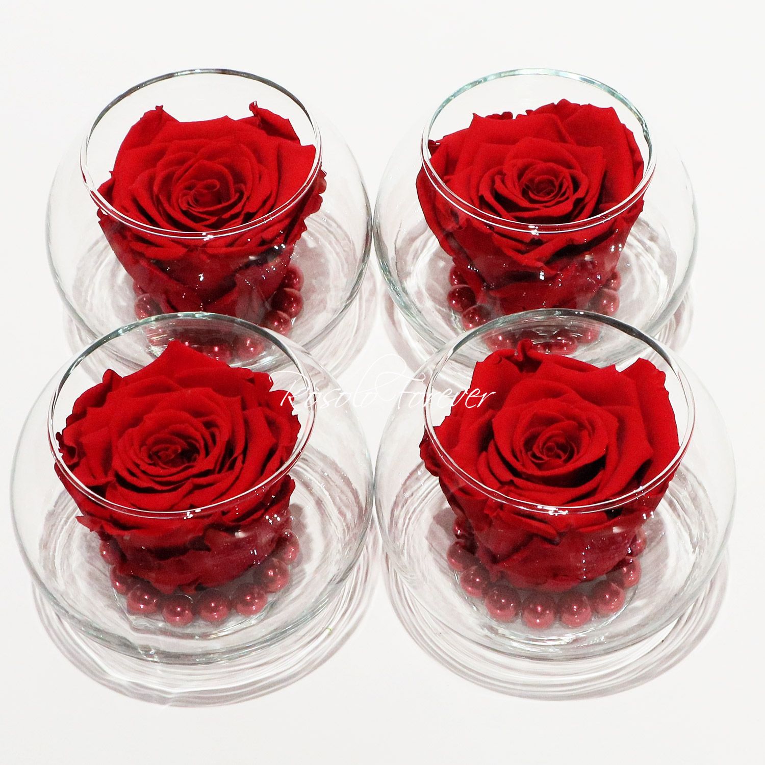 Rose éternelle, rouge, dans un vase boule