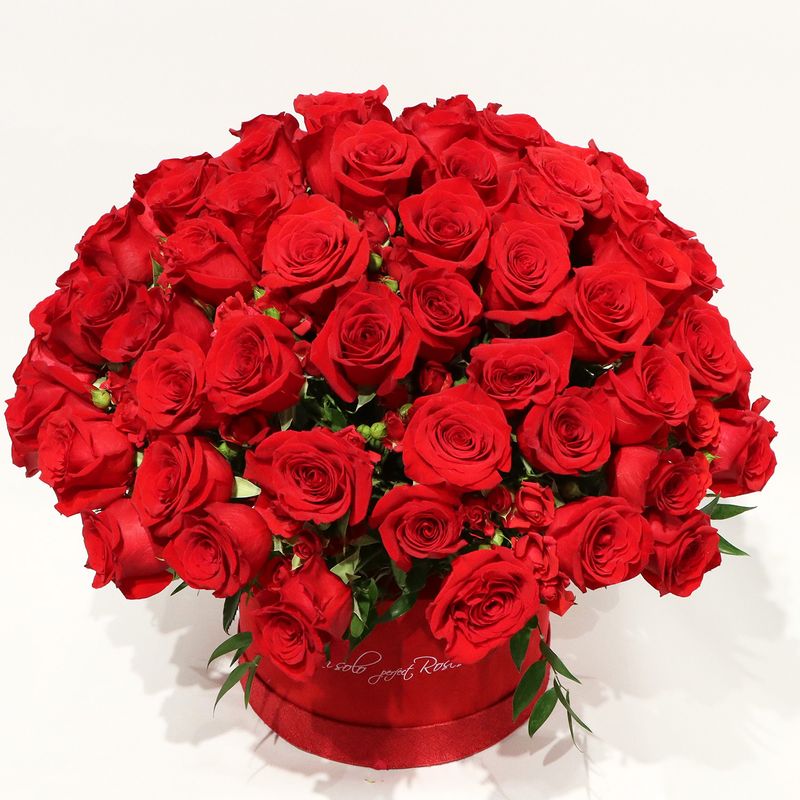Magnifique roses rouges dans une belle boite, plusieurs tailles disponibles