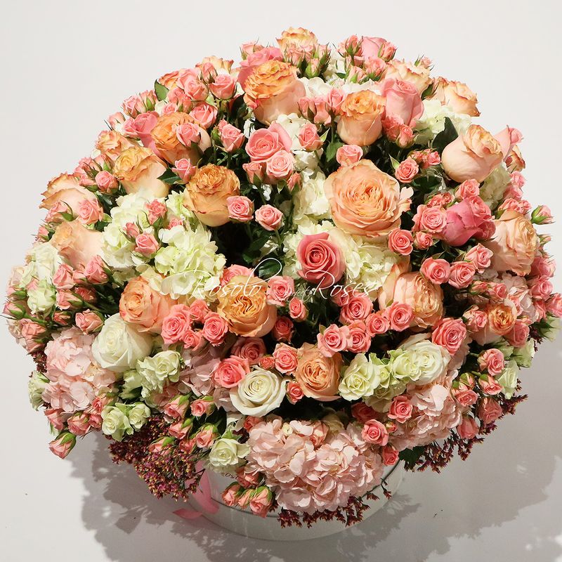 Somptueux arrangement;  roses et hortensias de couleurs pastelles dans une belle boite Rosolo