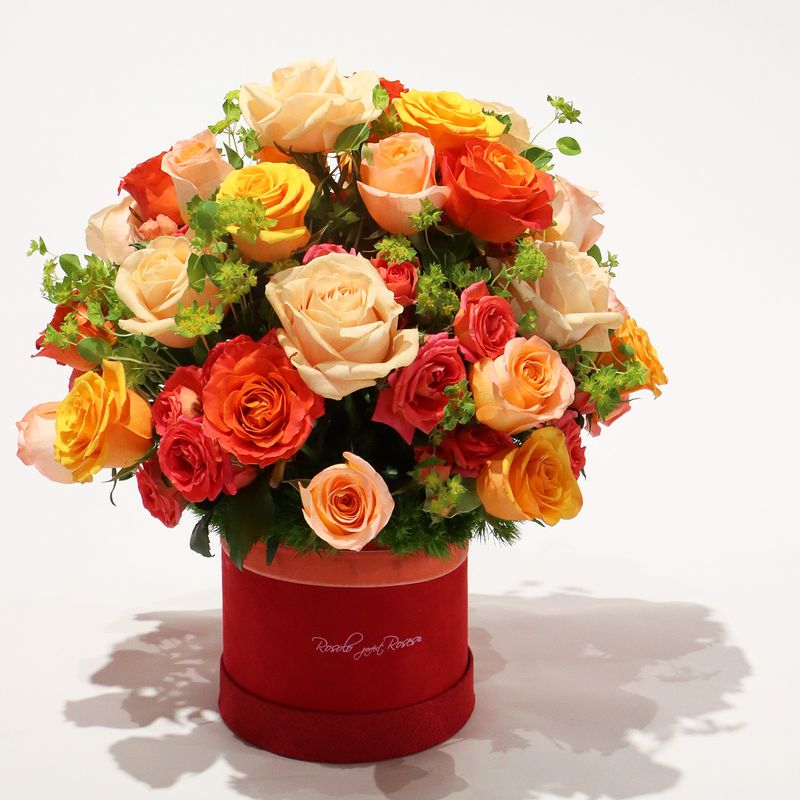 Roses lumineuses dans une jolie boite Rosolo