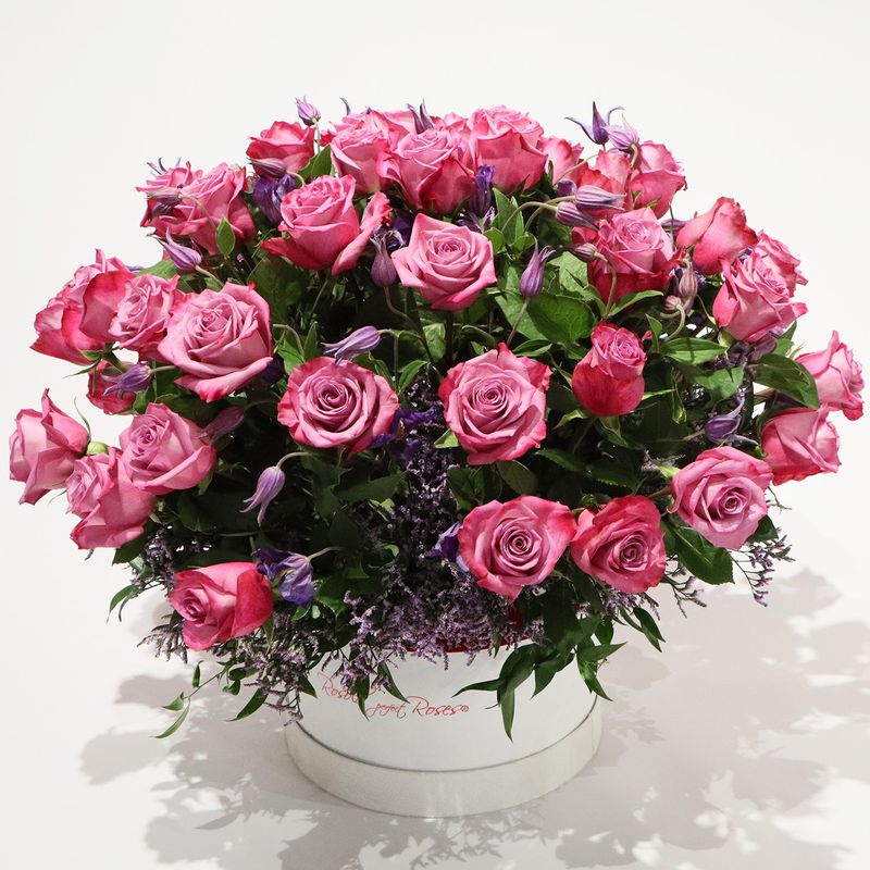 Superbes roses mauves dans une belle boite Rosolo