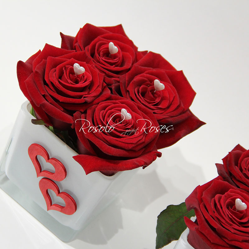AMOUR: 4 roses dans une coupe carrée