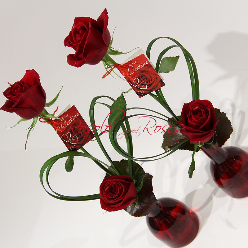 Roses rouges en duo