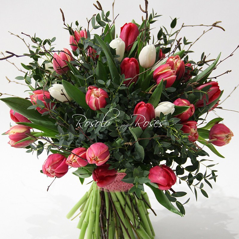 Beau bouquet de tulipes, couleurs pastelles