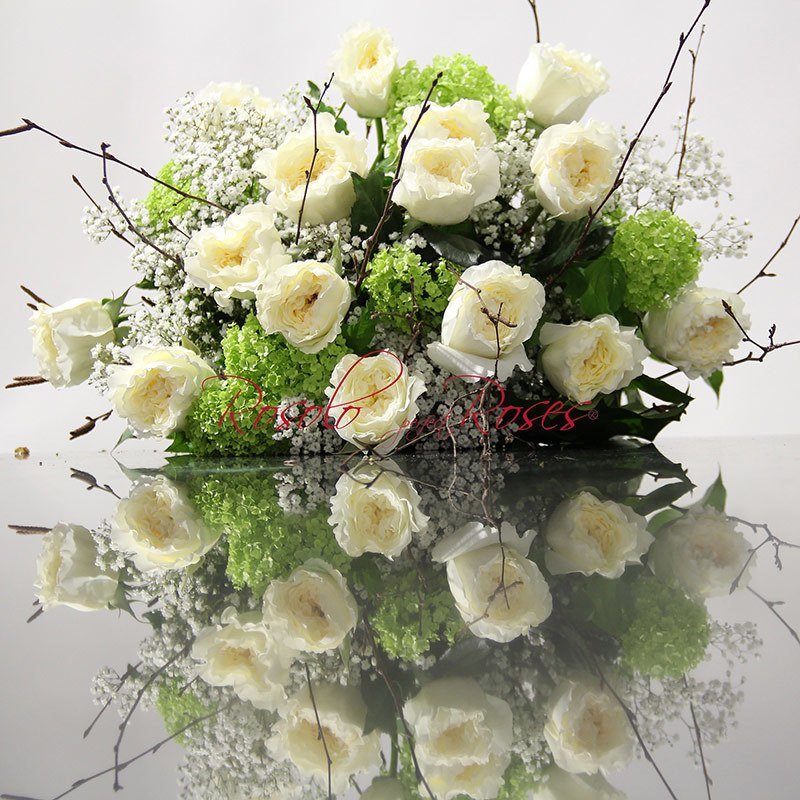 GARDEN ROSES: Roses odorantes en blanc