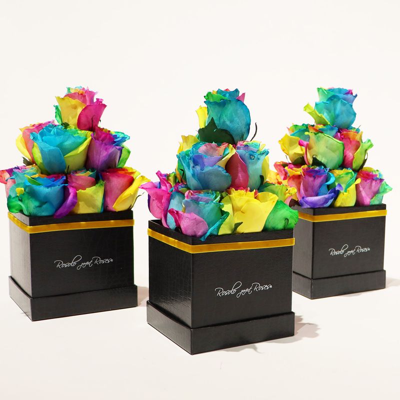 UNIQUE: belle boite avec 13 grandes roses "Rainbow"