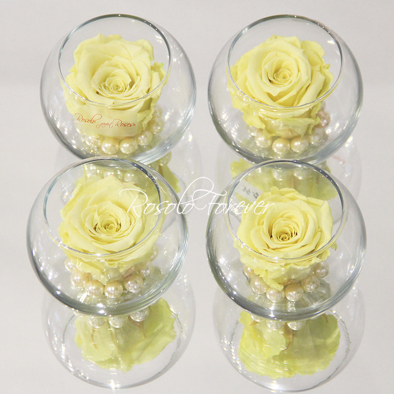 Une rose stabilisée en jaune-crème, avec perles décoratives dans un verre