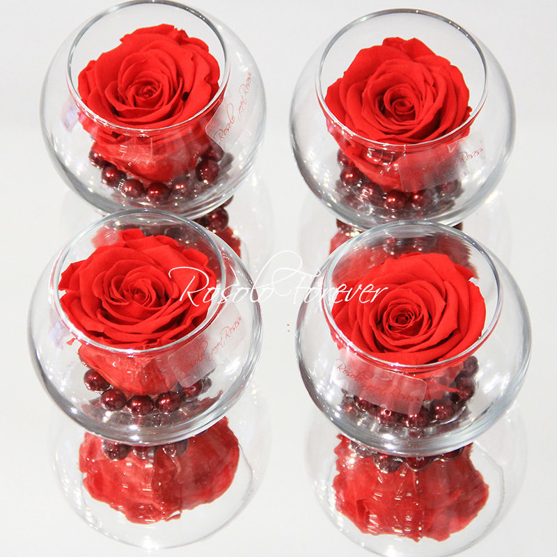Une rose stabilisée en rouge claire, avec perles décoratives dans un verre