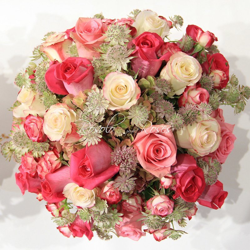 Bouquet de roses, couleurs douces
