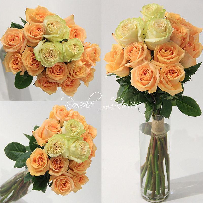 LC-HQ Roses: Bouquet de roses en crème et saumon