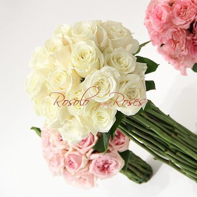 GARDEN ROSES: romantique en blanc