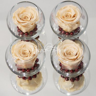 Une rose stabilisée en blanc/crème, avec perles décoratives dans un verre