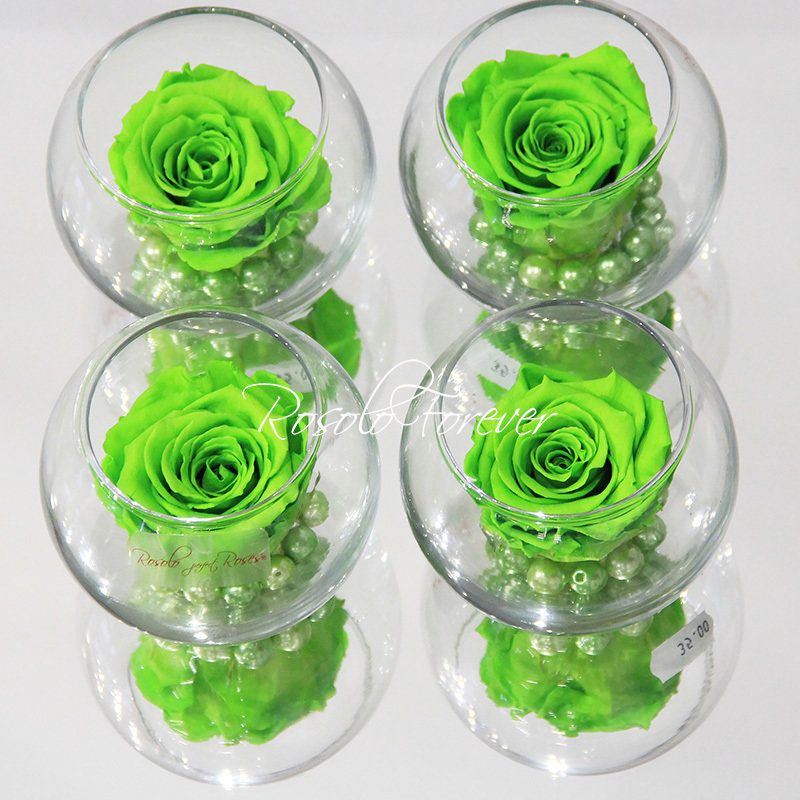 Une rose stabilisée en vert, avec perles décoratives dans un verre