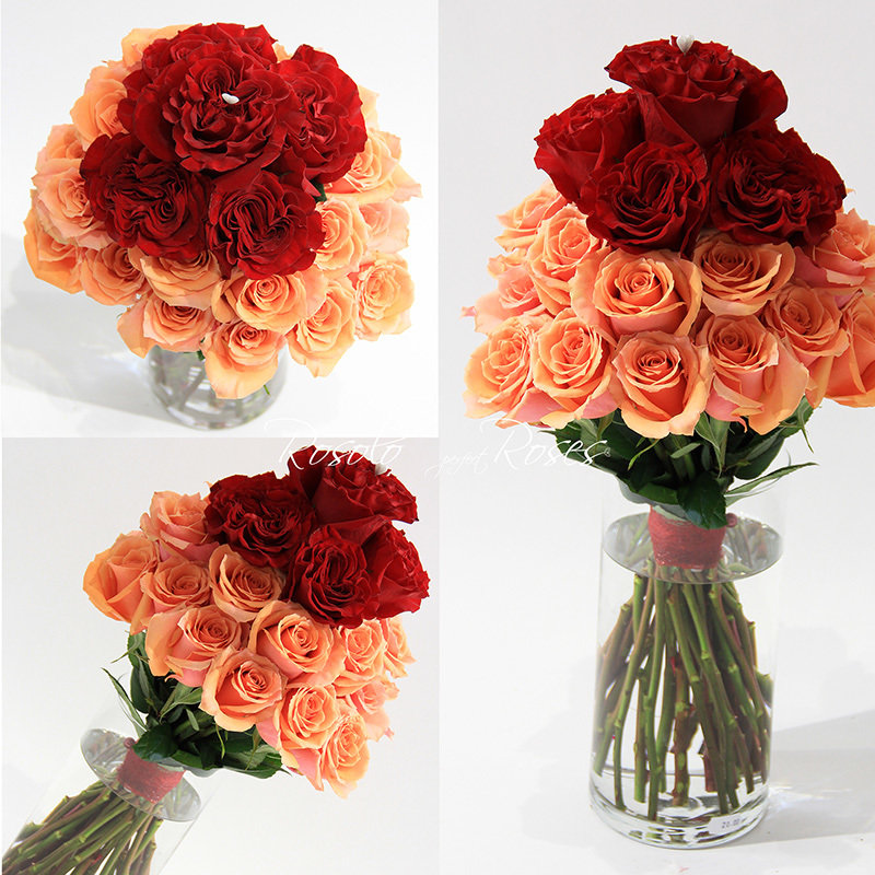 LC-HQ Roses: Bouquet de roses en rouge et saumon