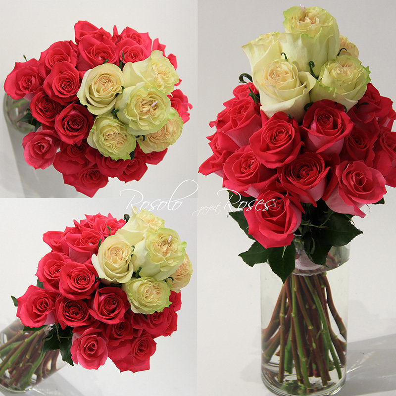 LC-HQ Roses: Bouquet de roses en crème et fuchsia