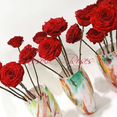 Roses éternelles