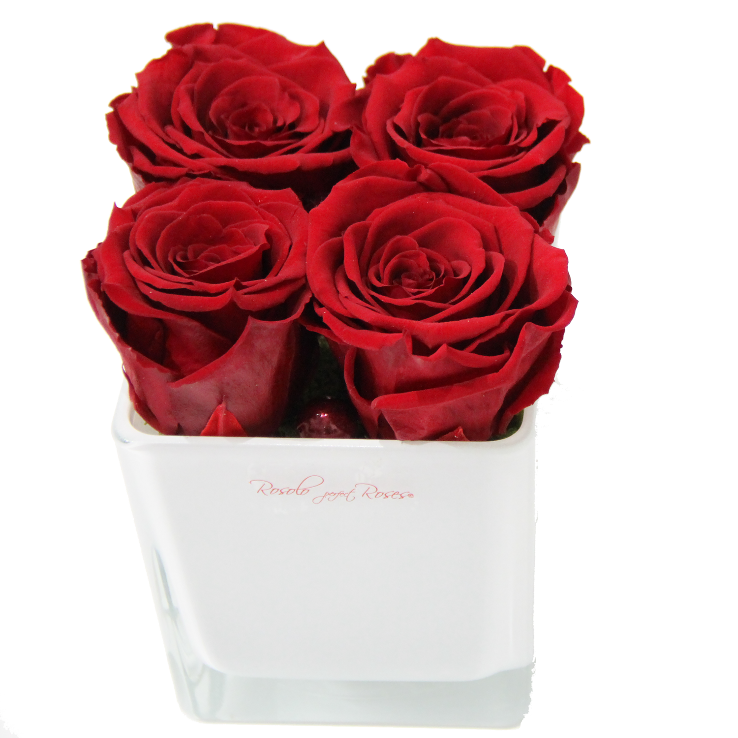 ROSOLO FOREVER: 4 Roses éternelles, rouges-clair dans une coupe carrée