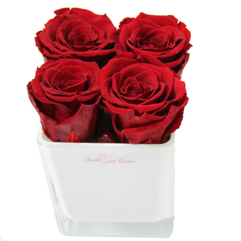 ROSOLO FOREVER: 4 Roses éternelles, rouges-clair dans une coupe carrée