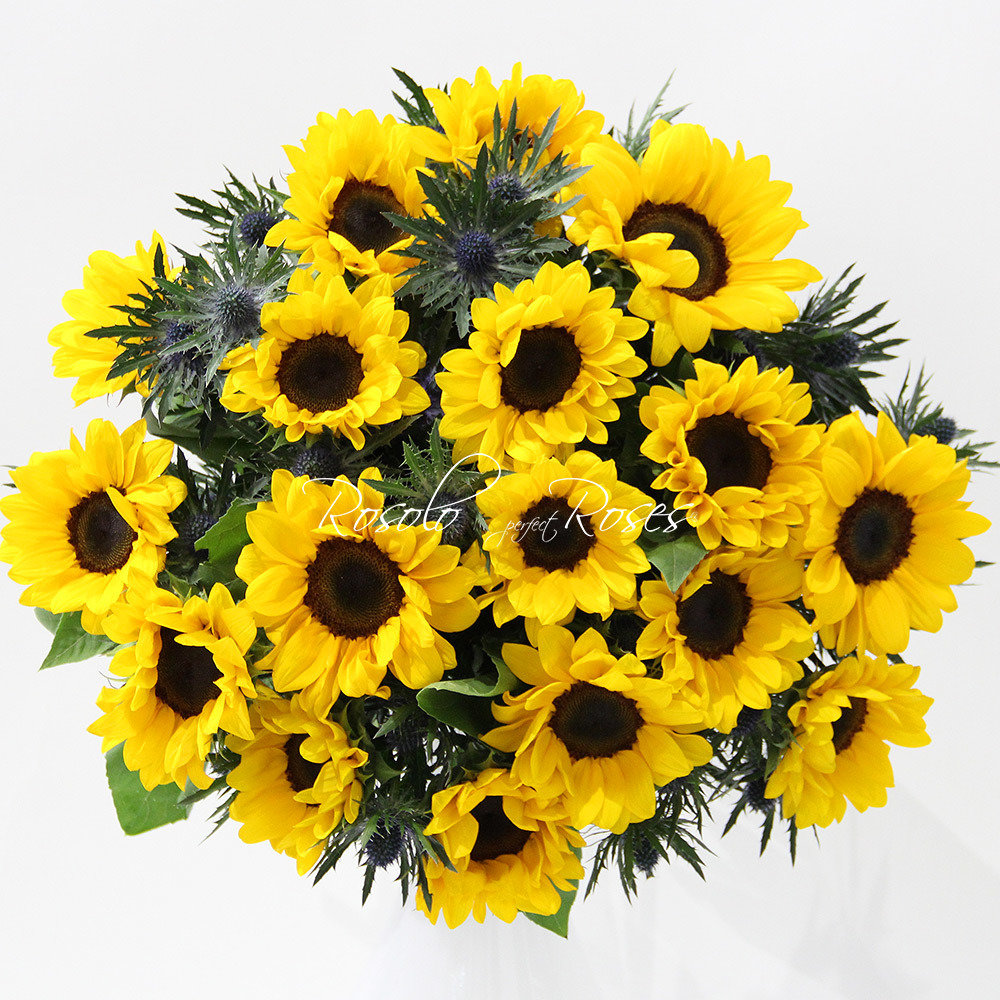 Bouquet de tournesols et chardons