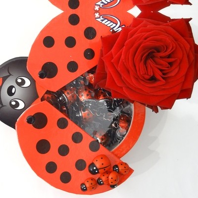Munz coccinelles en chocolat