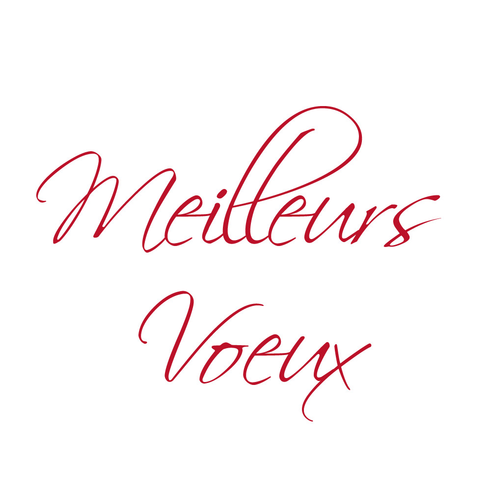 Carte de voeux "meilleurs voeux"