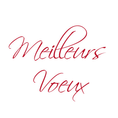 Carte de voeux "meilleurs voeux"