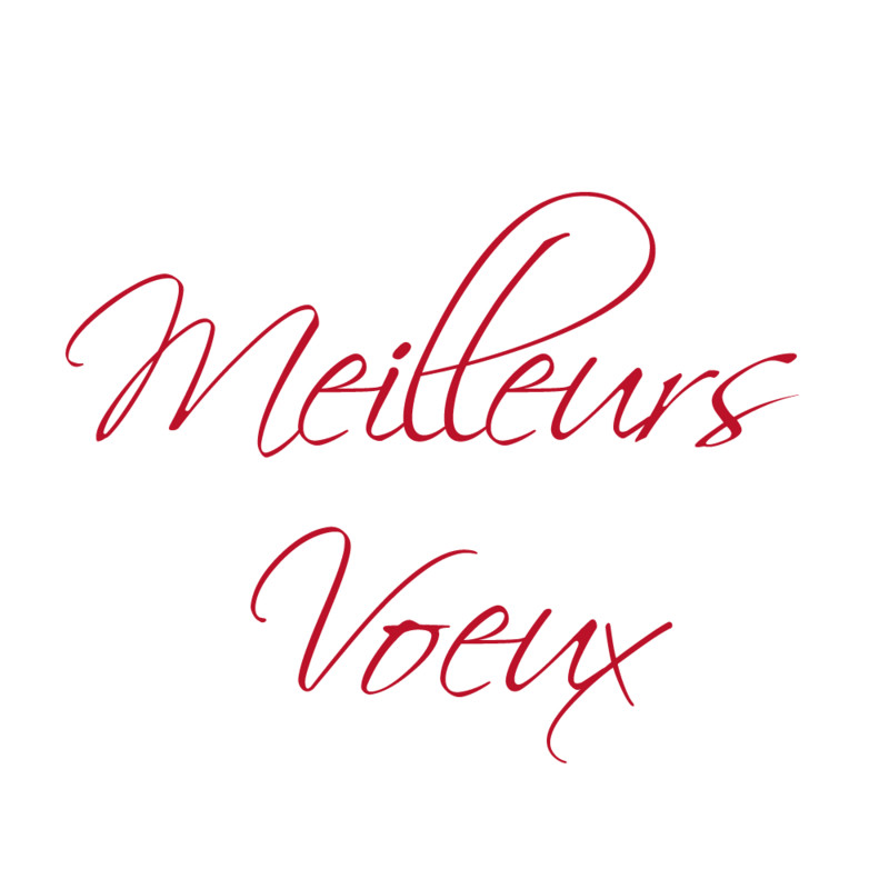 Carte de voeux "meilleurs voeux"