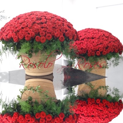 1001 grandes roses rouges dans un arrangement