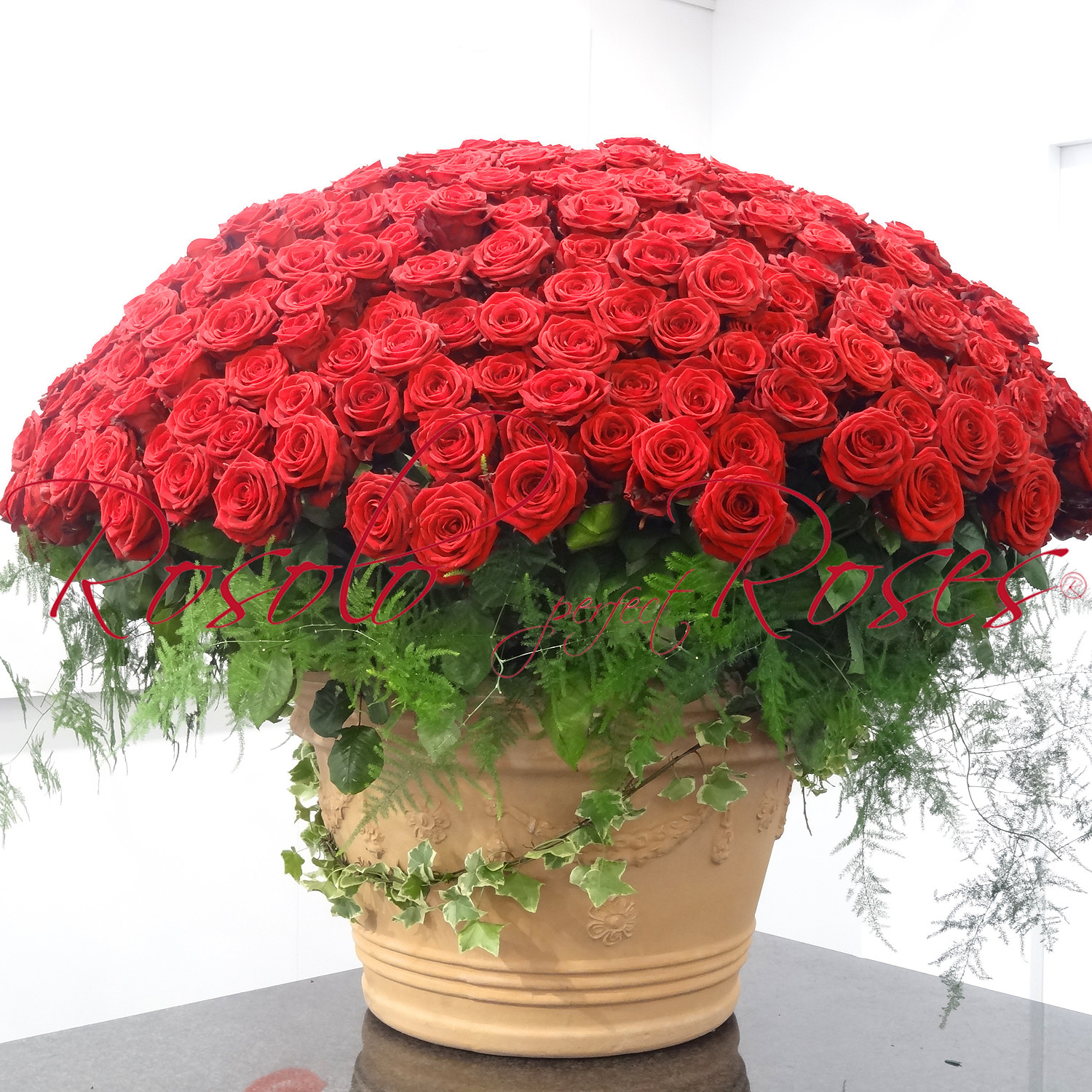 365 grandes roses rouges dans un arrangement