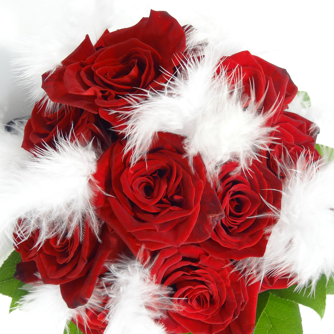 Roses rouges &amp; plumes dans un bouquet romantique