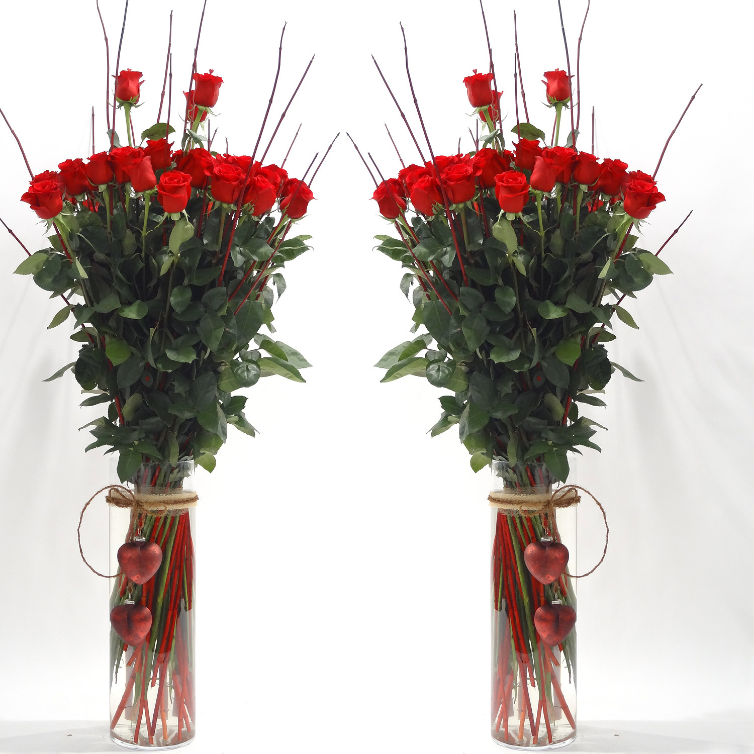 Superbes roses rouges dans un vase cylindrique