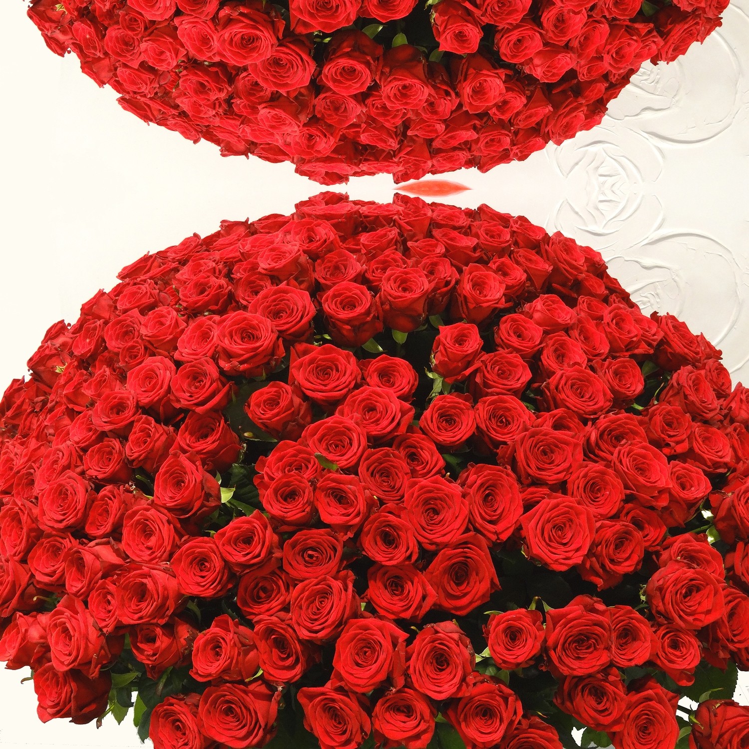 101 ou 365 grandes roses rouges