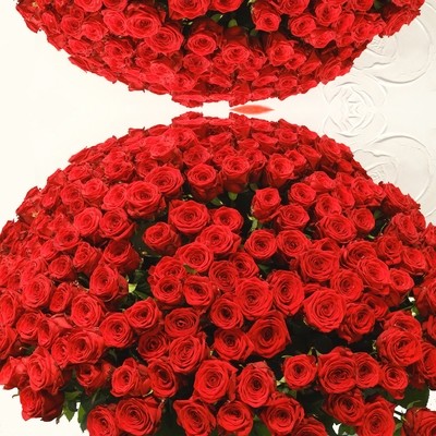 101 ou 365 grandes roses rouges