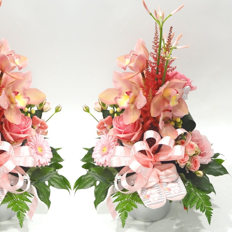 Arrangement naissance en hauteur