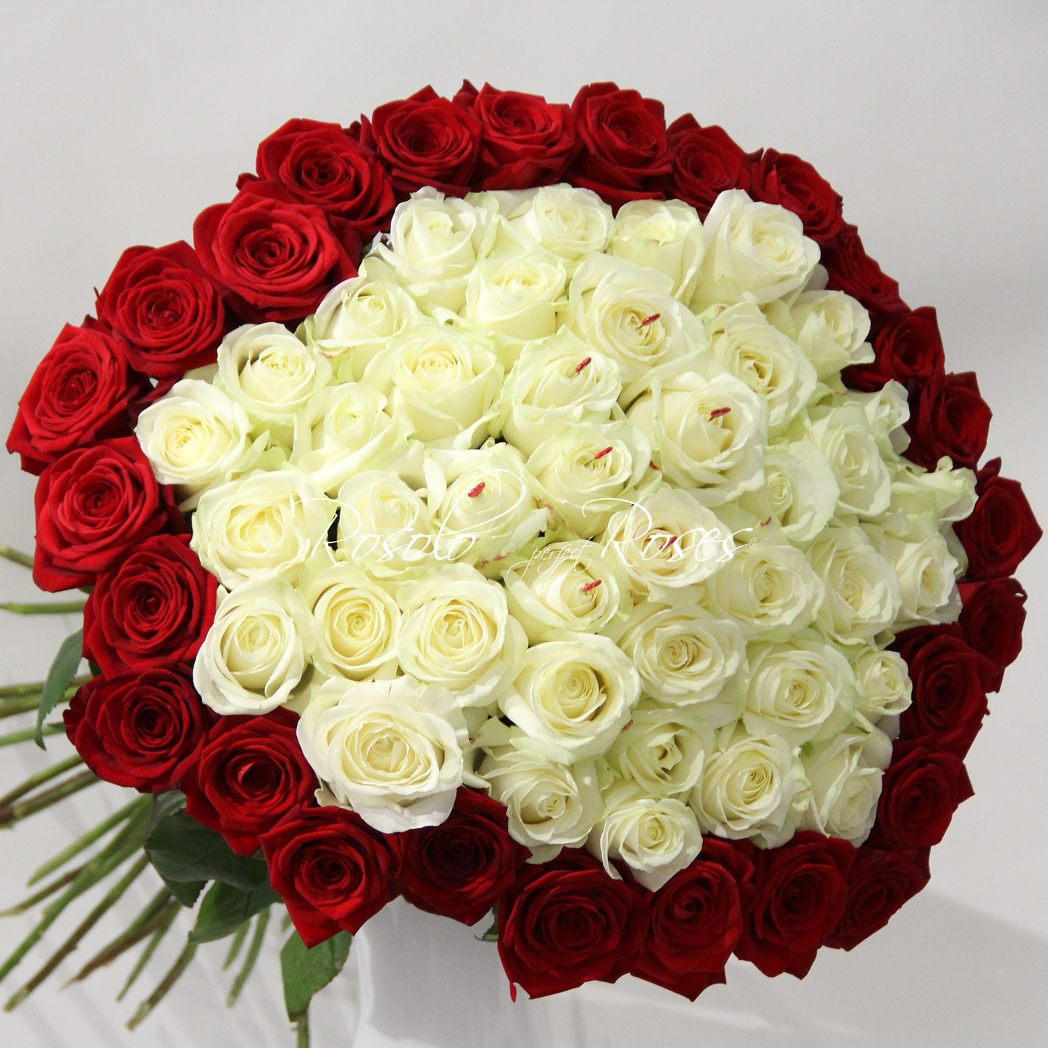 Grandes roses blanches, entourées d'amour