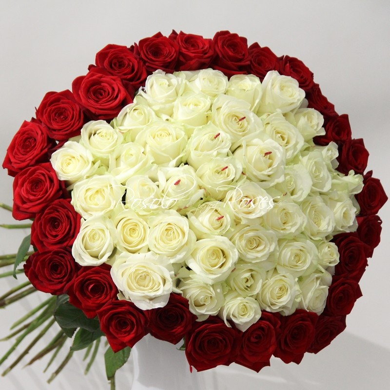 Grandes roses blanches, entourées d'amour