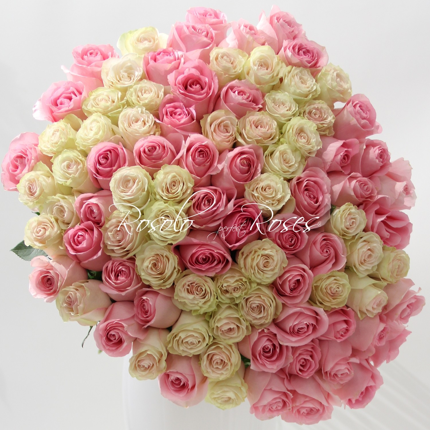 Grand bouquet de roses, couleurs blanc/crème et rose