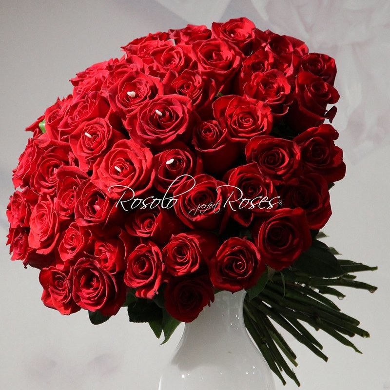 Beau bouquet de roses rouges