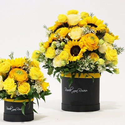 Les Tournesols