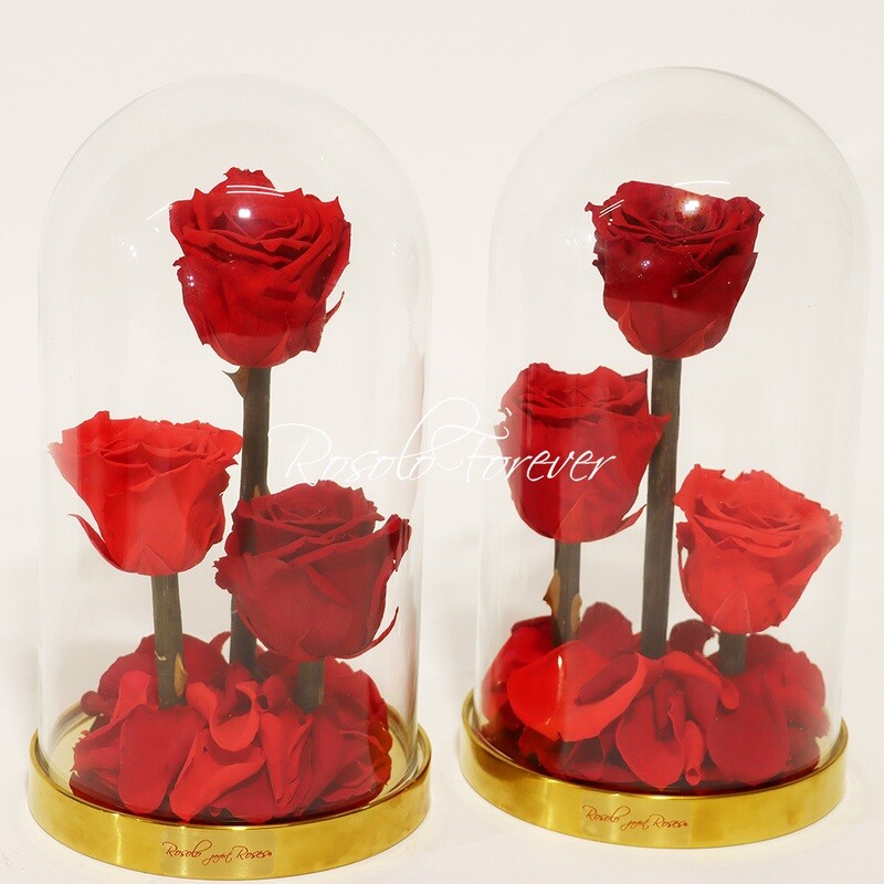 ROSOLO FOREVER: 3 roses rouges sous cloche