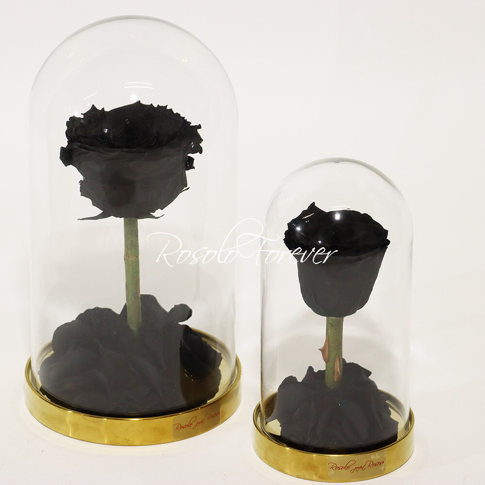 ROSOLO FOREVER:  une grande rose noire, éternelle, sous cloche, Taille: large