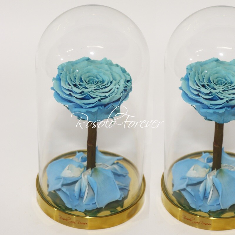 ROSOLO FOREVER:  une grande rose, rose ou bleue éternelle sous cloche