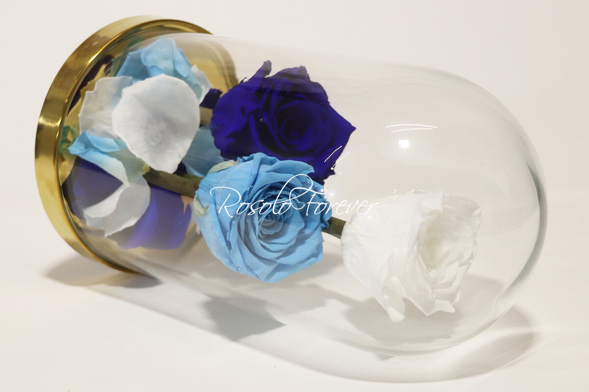 3 grandes roses éternelles sous cloche, tons bleu (claire+foncé) et blanc