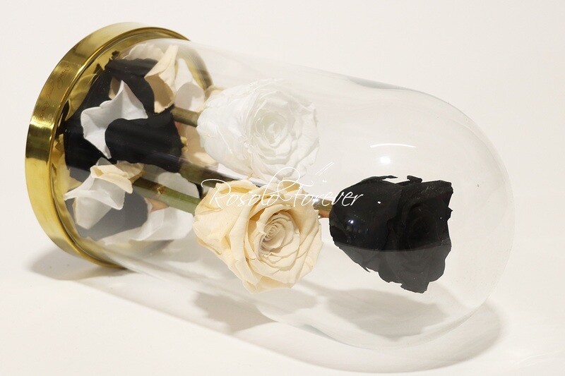 3 grandes roses éternelles sous cloche, tons noir-crème-blanc