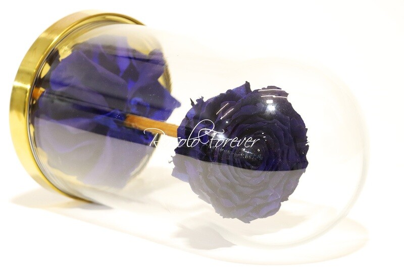 Belle grande rose éternelle sous cloche, taille XL, bleu foncé