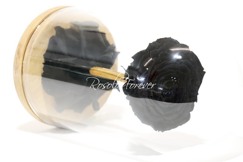 Belle grande rose éternelle sous cloche, taille XL, noir