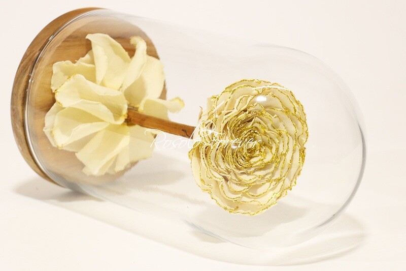 Belle grande rose éternelle sous cloche, taille XL, spéciale, crème et or